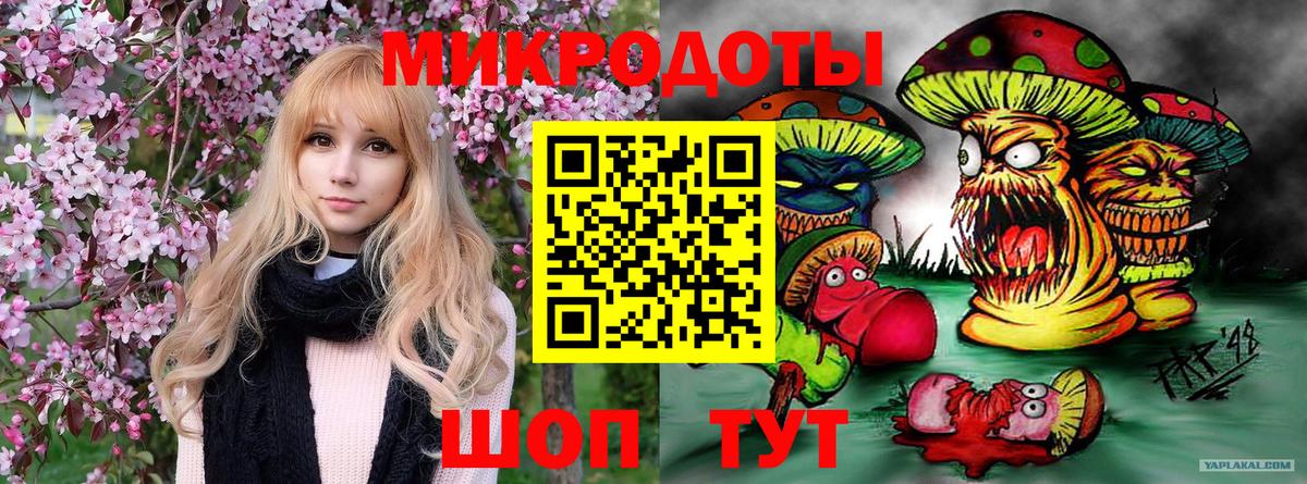 Псилоцибиновые грибы прущие грибы Пушкино