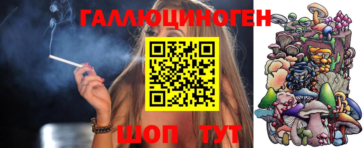 Галлюциногенные грибы Cubensis  Вход с VPN  Пушкино  Псилоцибиновые грибы Psilocybine cubensis 