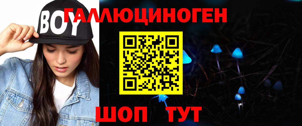где найти наркотики  Галлюциногенные грибы Magic Shrooms  Пушкино  Галлюциногенные грибы Psilocybine cubensis 